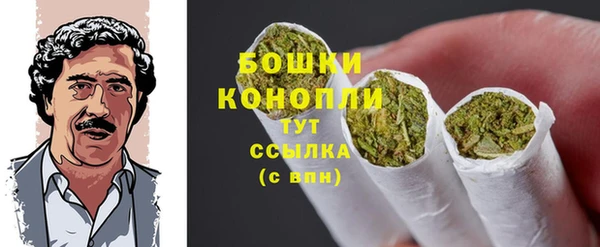прущие грибы Осташков