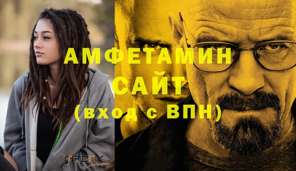 прущие грибы Осташков
