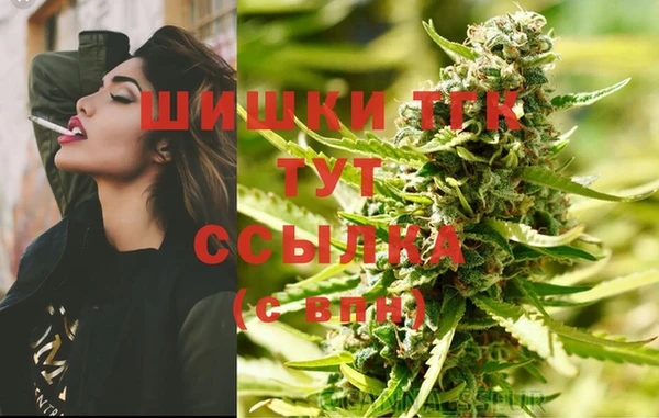 прущие грибы Осташков