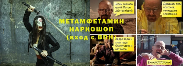 прущие грибы Осташков