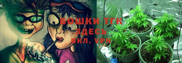 Альфа ПВП Осинники