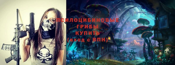 метадон Няндома