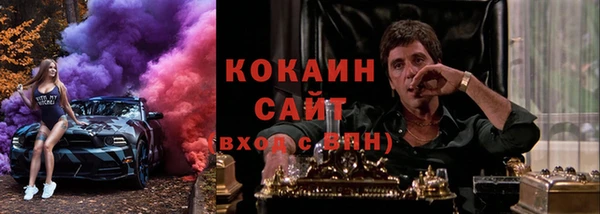 прущие грибы Осташков