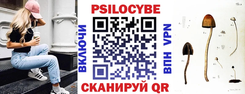 Псилоцибиновые грибы ЛСД  блэк спрут ссылки  Кологрив  закладка 